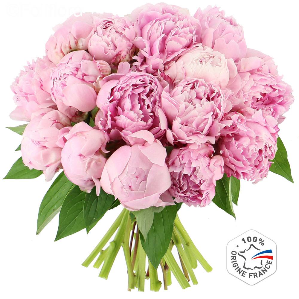 Livraison somptueuses pivoines - Bouquet de fleurs - Foliflora
