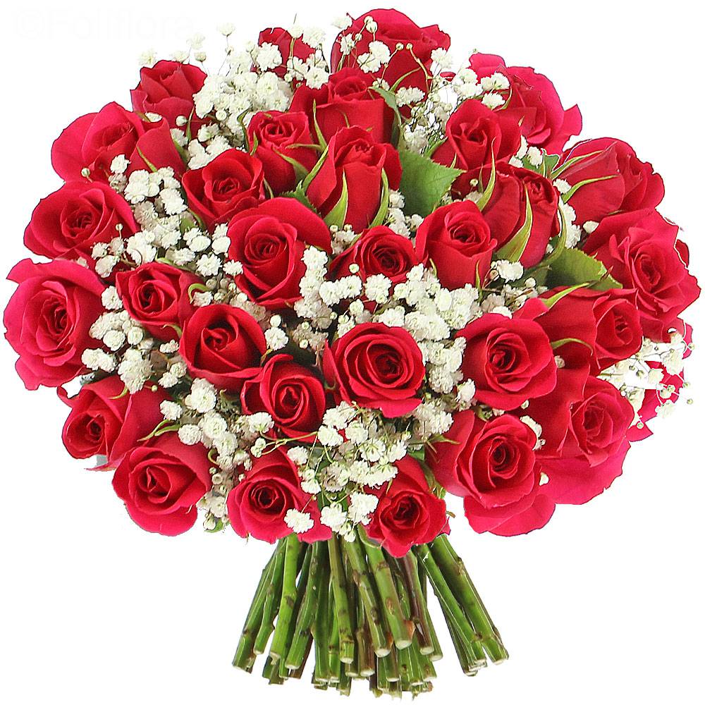Livraison roses délice - elégance - Bouquet de roses ...