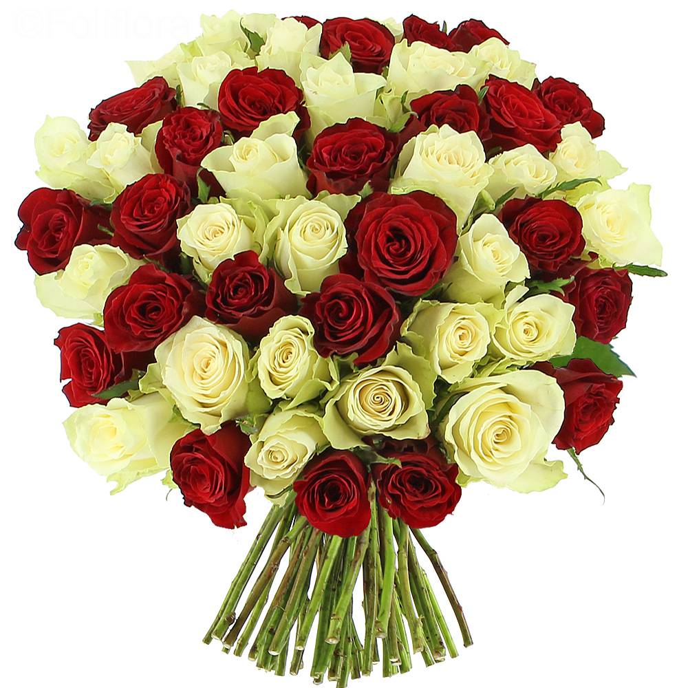 Livraison roses sensation - 25 roses - Bouquet de roses - Foliflora